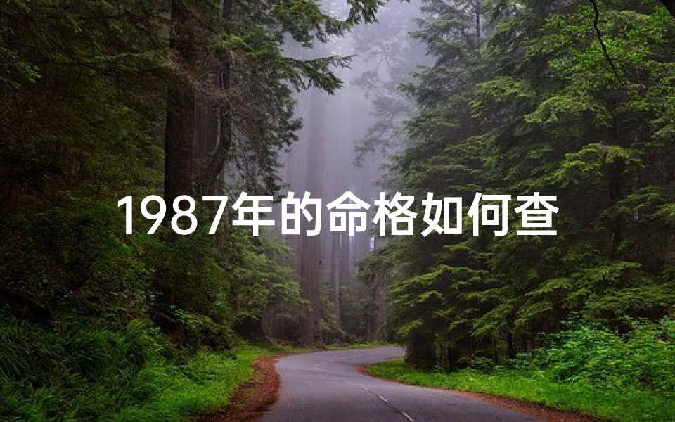1987年的命格如何查—《1987年命格详解：如何精准查询》