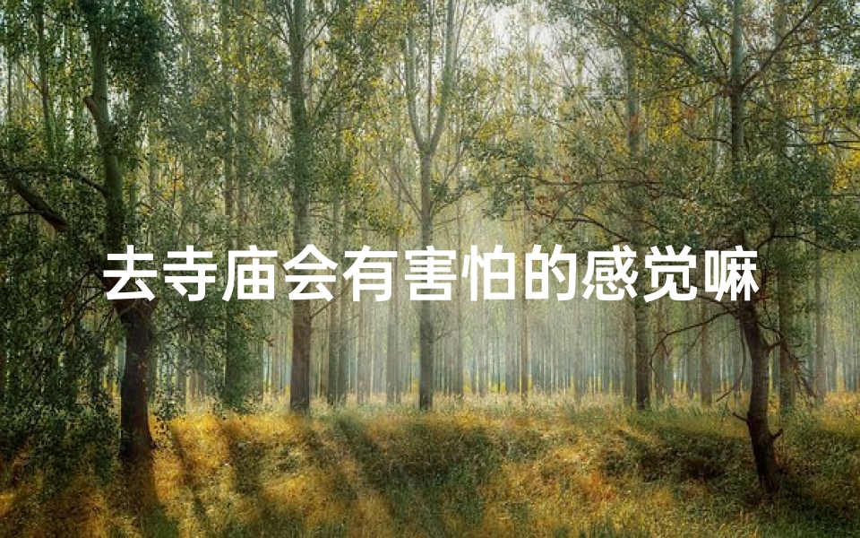 去寺庙会有害怕的感觉嘛,寺庙之旅：你害怕吗？