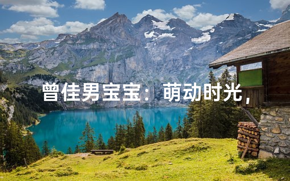 曾佳男宝宝：萌动时光，快乐成长记