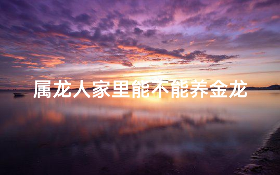 属龙人家里能不能养金龙鱼