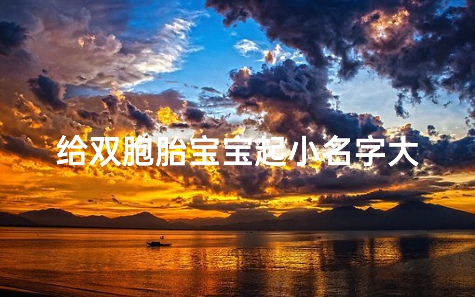 给双胞胎宝宝起小名字大全集-《双胞胎宝宝名字精选：创意无限，寓意美好》