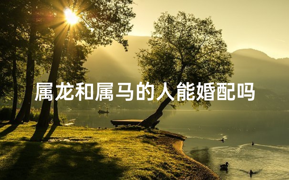 属龙和属马的人能婚配吗