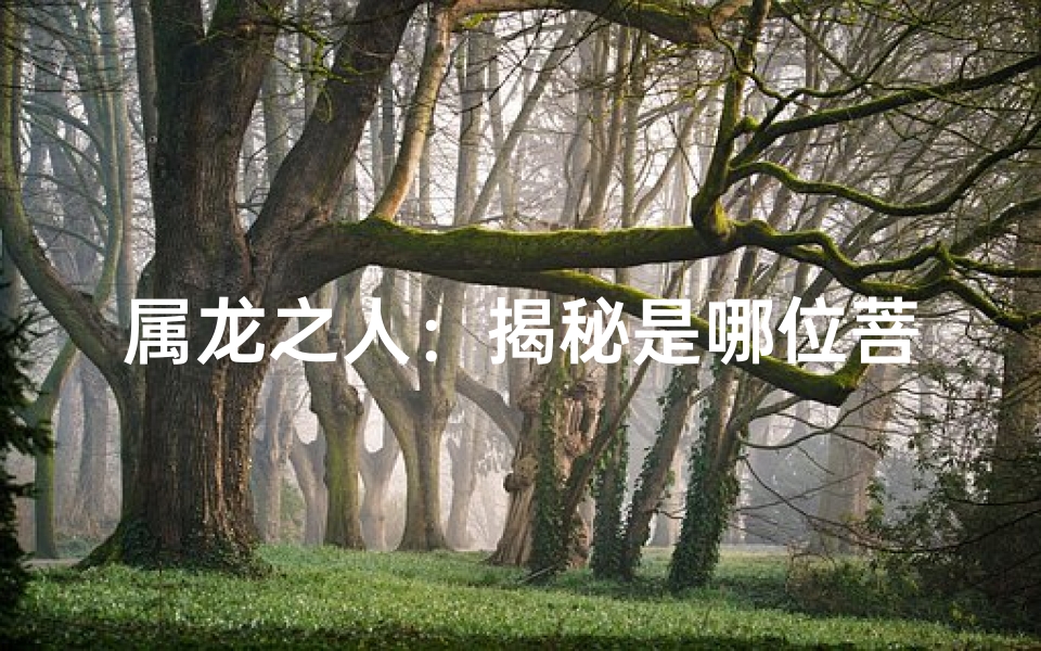 属龙之人：揭秘是哪位菩萨转世？