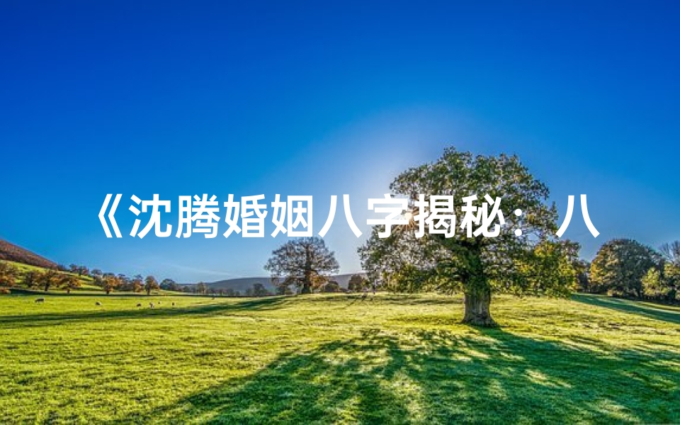 《沈腾婚姻八字揭秘：八字命理解析婚姻走向》