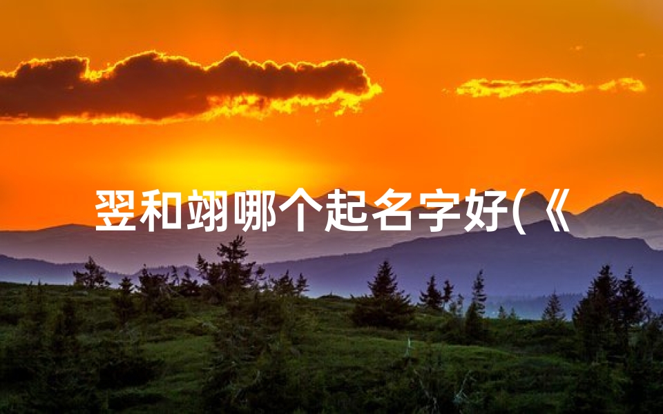 翌和翊哪个起名字好(《龙宝宝取名翌与翊：哪个名字更具寓意与韵味？》)