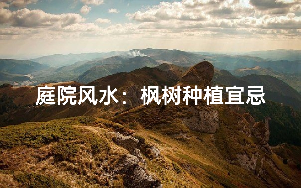 庭院风水：枫树种植宜忌解析
