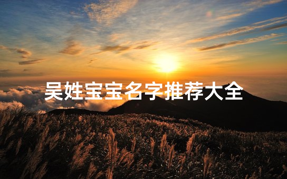 吴姓宝宝名字推荐大全