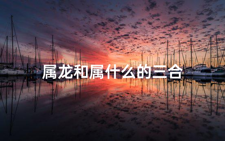 属龙和属什么的三合