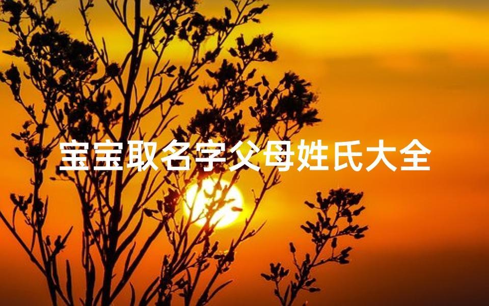 宝宝取名字父母姓氏大全(父母姓氏加一起取名字有哪些 )