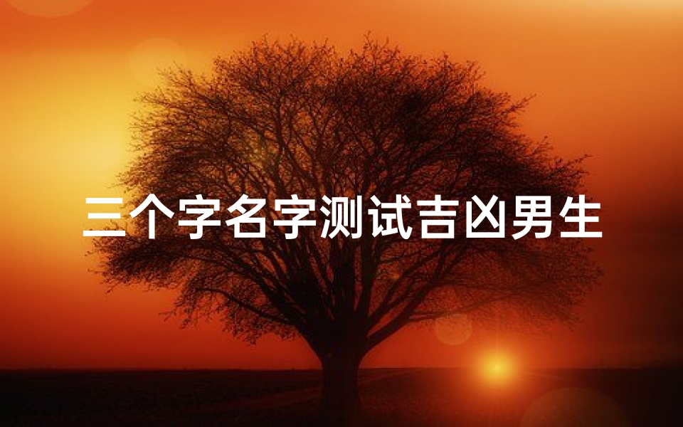 三个字名字测试吉凶男生—三个字的姓名男生
