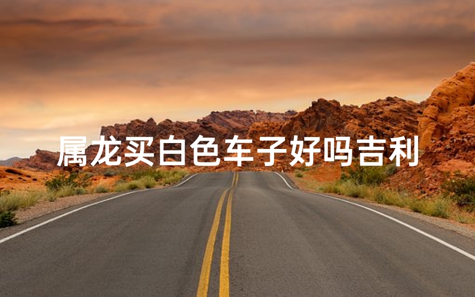 属龙买白色车子好吗吉利吗