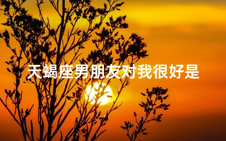 天蝎座男朋友对我很好是喜欢吗_天蝎男友对我极好，是喜欢我吗？