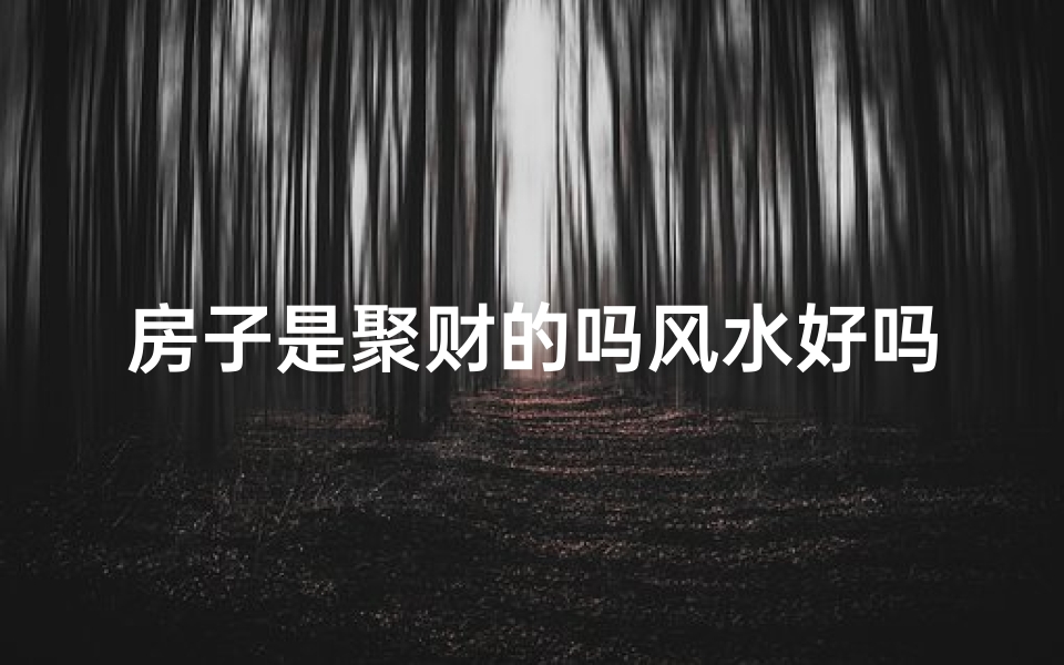 房子是聚财的吗风水好吗视频_房子风水聚财：揭秘好风水房子的秘密