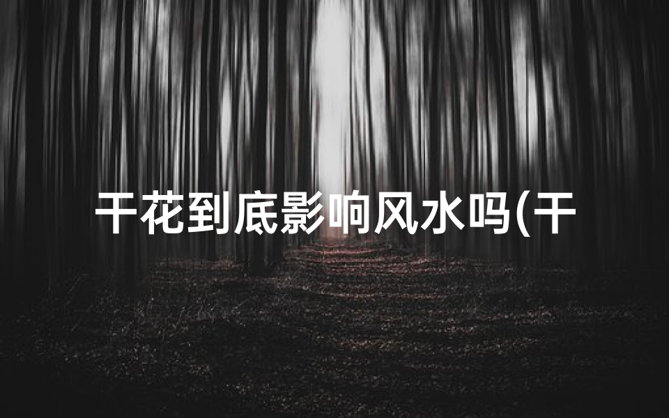 干花到底影响风水吗(干花摆放风水影响揭秘)