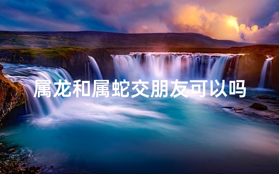 属龙和属蛇交朋友可以吗