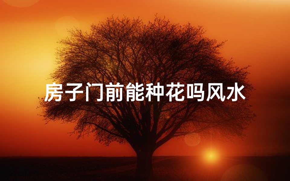 房子门前能种花吗风水