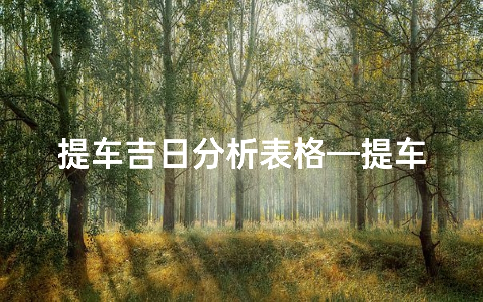 提车吉日分析表格—提车吉日分析表格模板