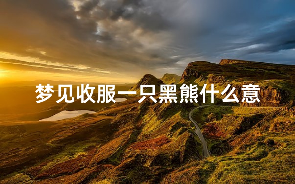 梦见收服一只黑熊什么意思_梦见黑熊袭击自己但是获救