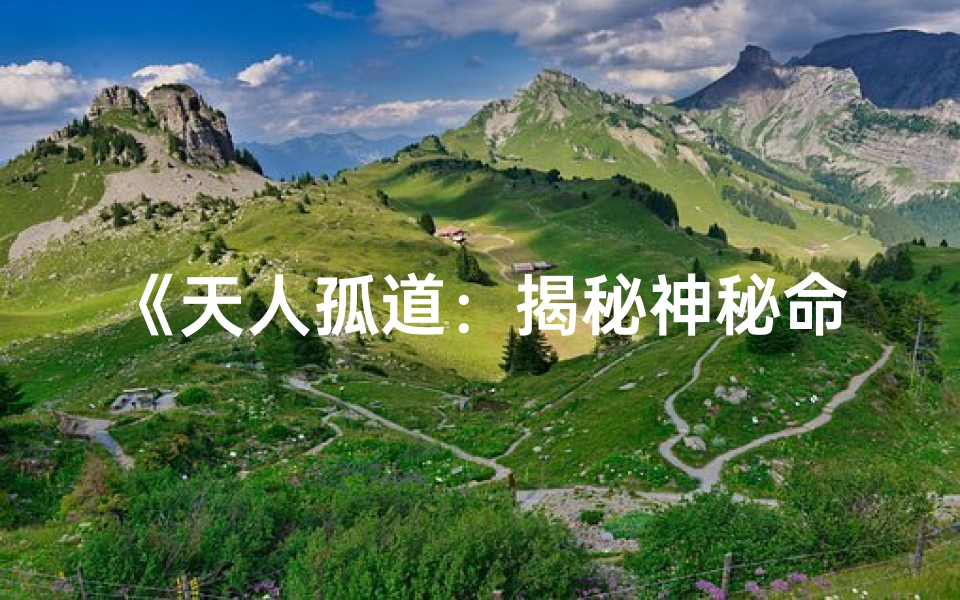 《天人孤道：揭秘神秘命格之谜》
