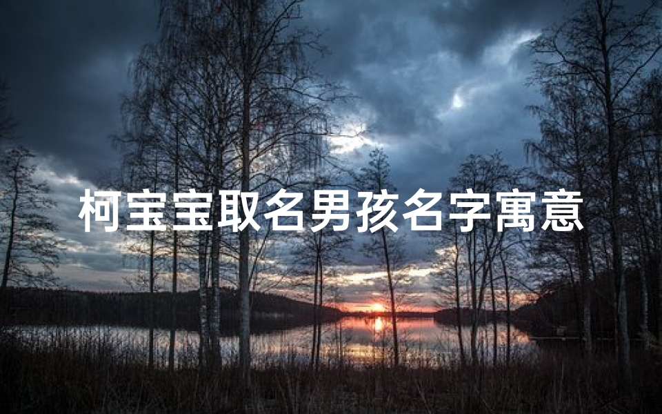 柯宝宝取名男孩名字寓意