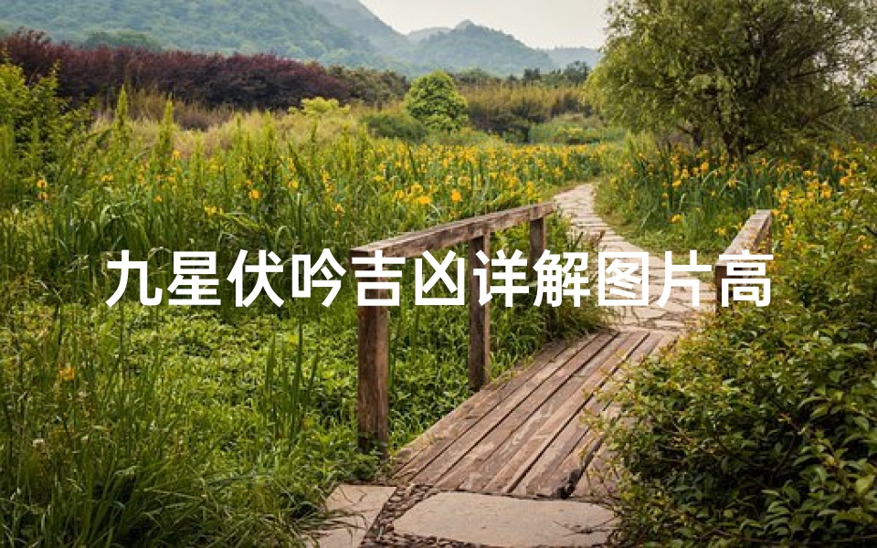 九星伏吟吉凶详解图片高清_九星伏位