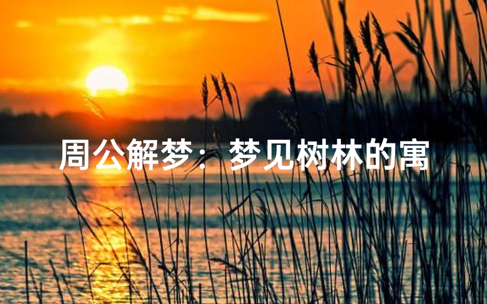 周公解梦：梦见树林的寓意与解析