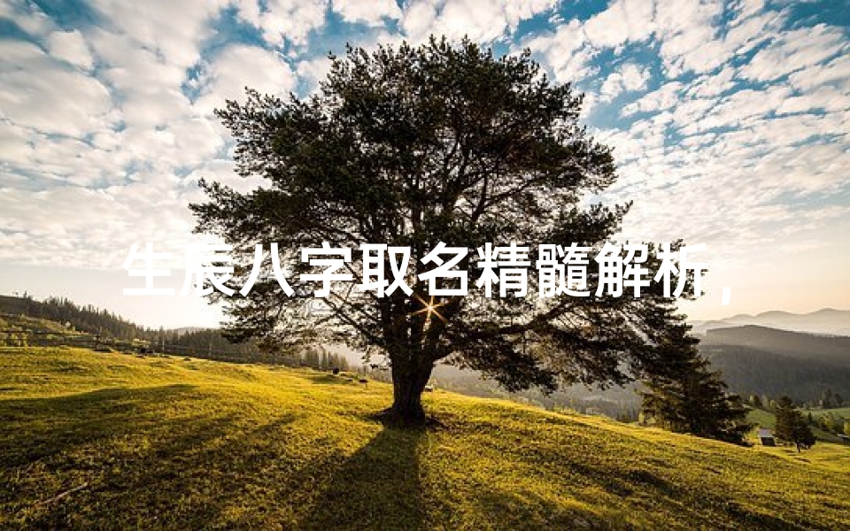生辰八字取名精髓解析，科学传承传统文化