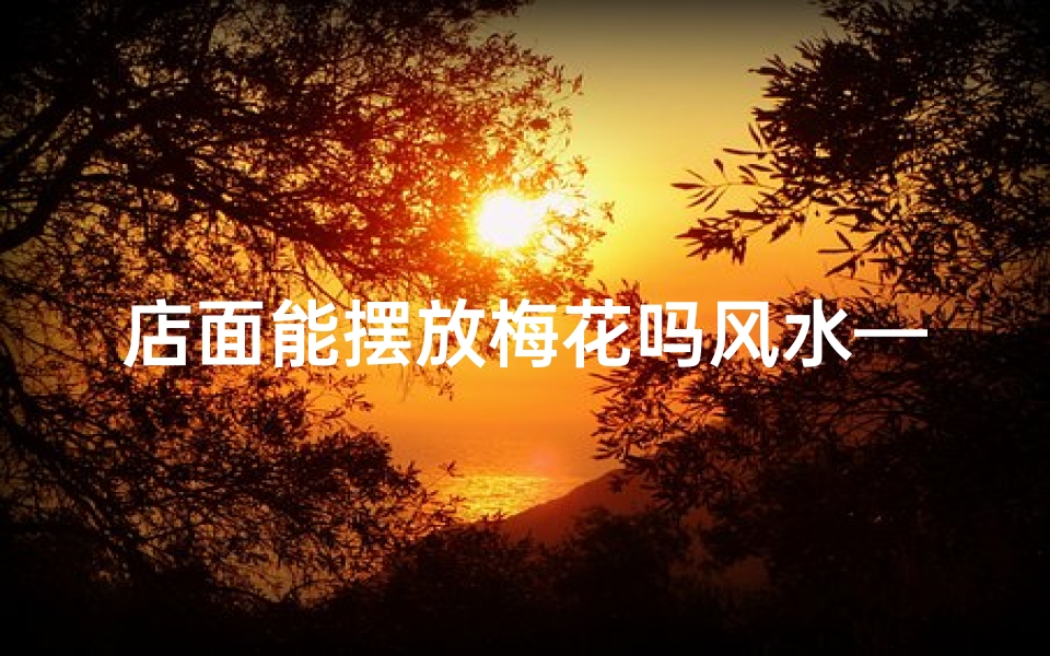 店面能摆放梅花吗风水—店面摆放梅花风水宜忌解析