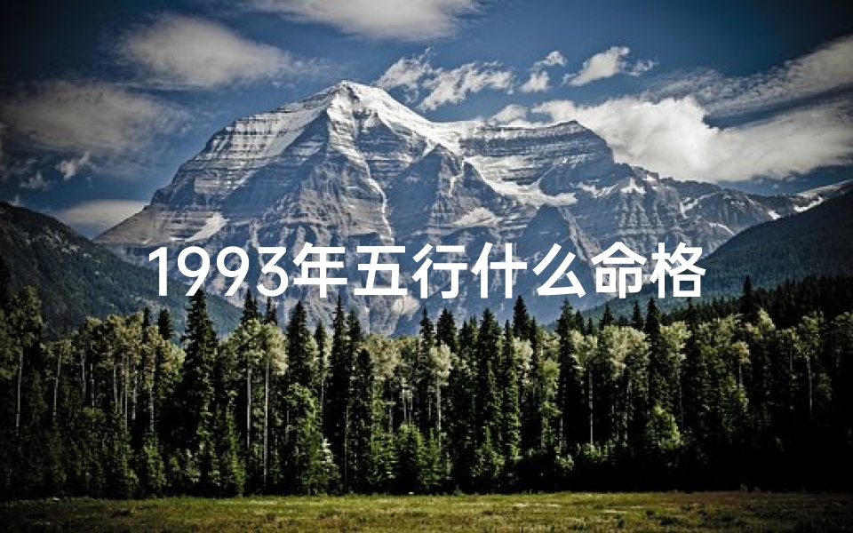 1993年五行什么命格,1993年五行命格揭秘：探寻你的本命年运势