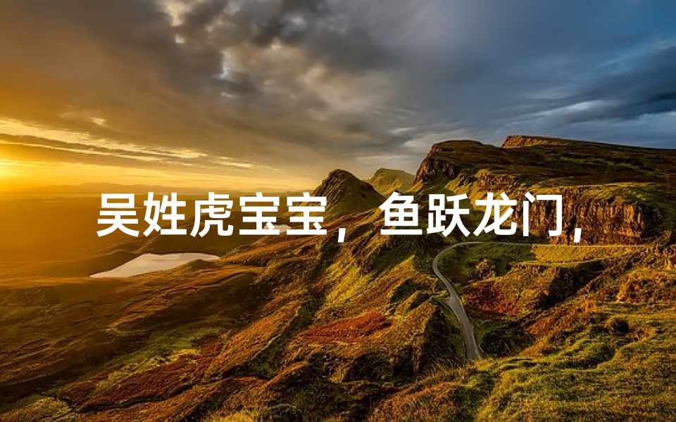 吴姓虎宝宝，鱼跃龙门，吉祥如意好名字