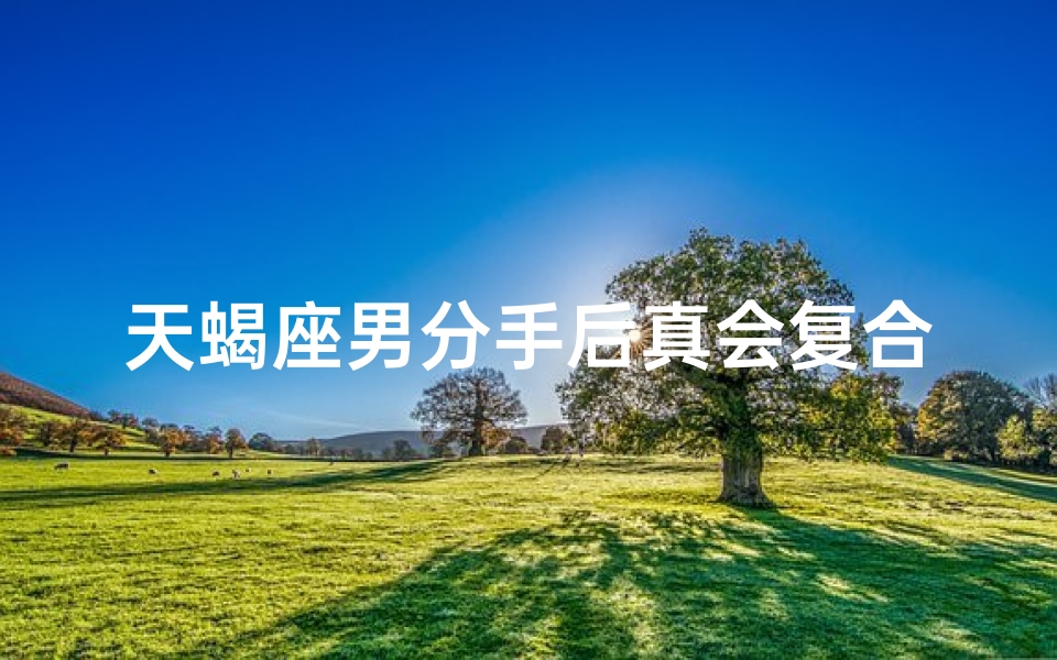 天蝎座男分手后真会复合吗？
