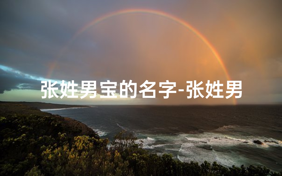 张姓男宝的名字-张姓男宝宝，洋气名字大集合