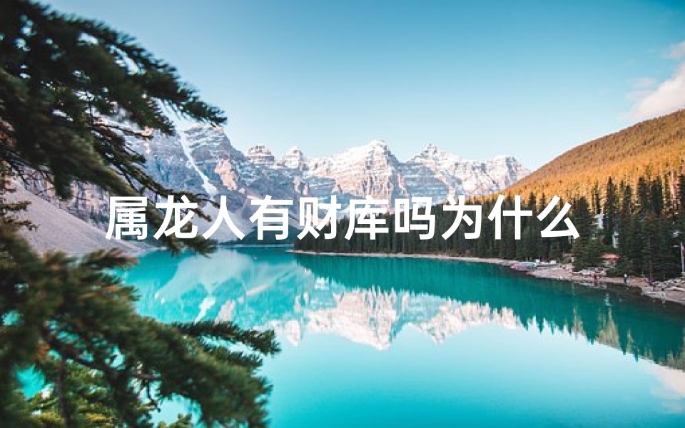 属龙人有财库吗为什么