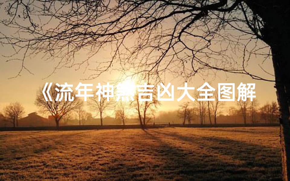 《流年神煞吉凶大全图解揭秘》