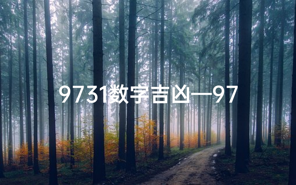 9731数字吉凶—9731数字吉凶揭秘：运势好坏一窥究竟