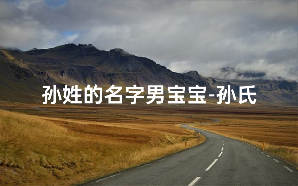 孙姓的名字男宝宝-孙氏宝宝，未来之星闪耀登场