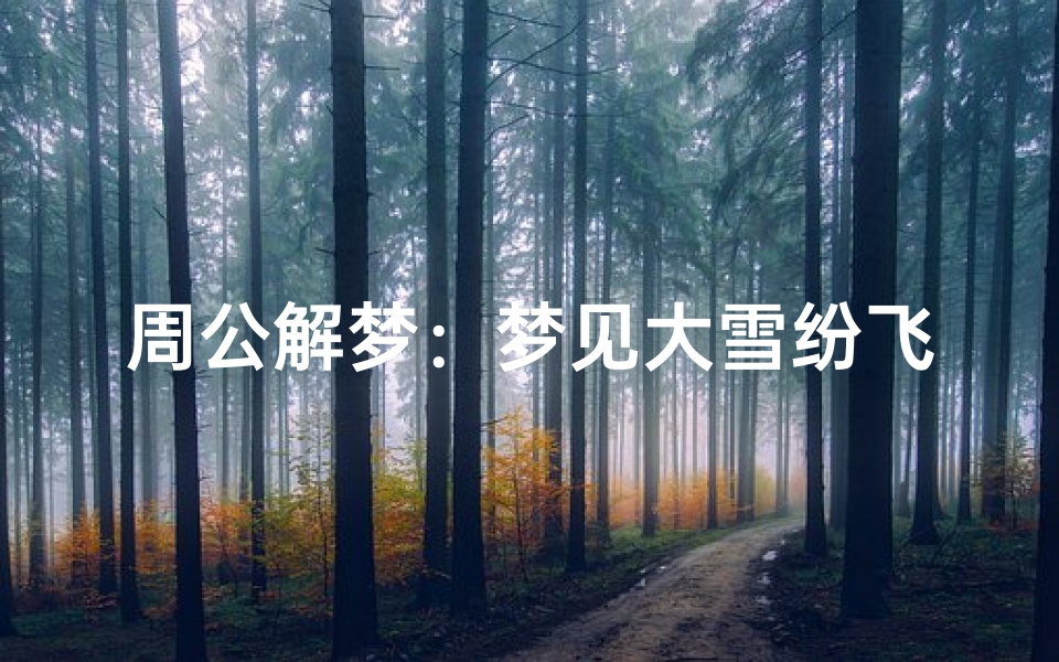 周公解梦：梦见大雪纷飞的含义与解析