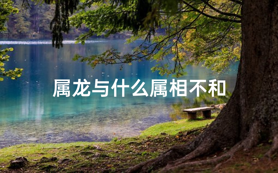 属龙与什么属相不和