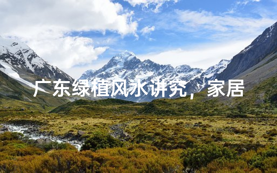 广东绿植风水讲究，家居生机旺运势
