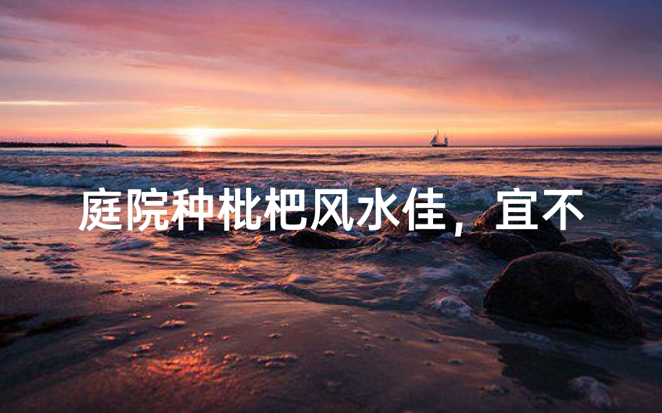 庭院种枇杷风水佳，宜不宜？