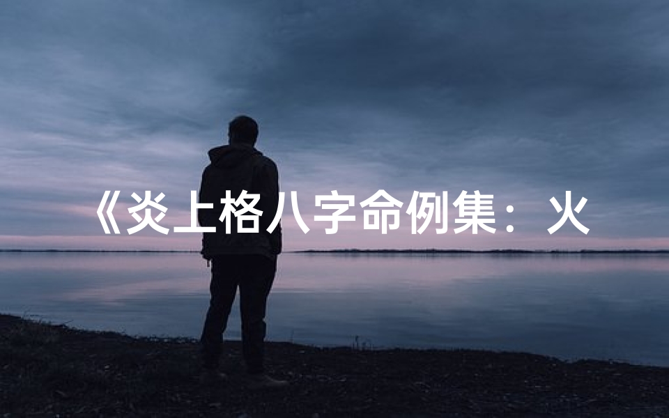 《炎上格八字命例集：火象人生奥秘解析》