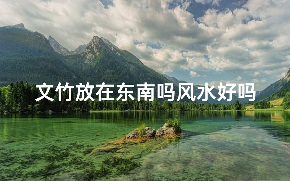 文竹放在东南吗风水好吗