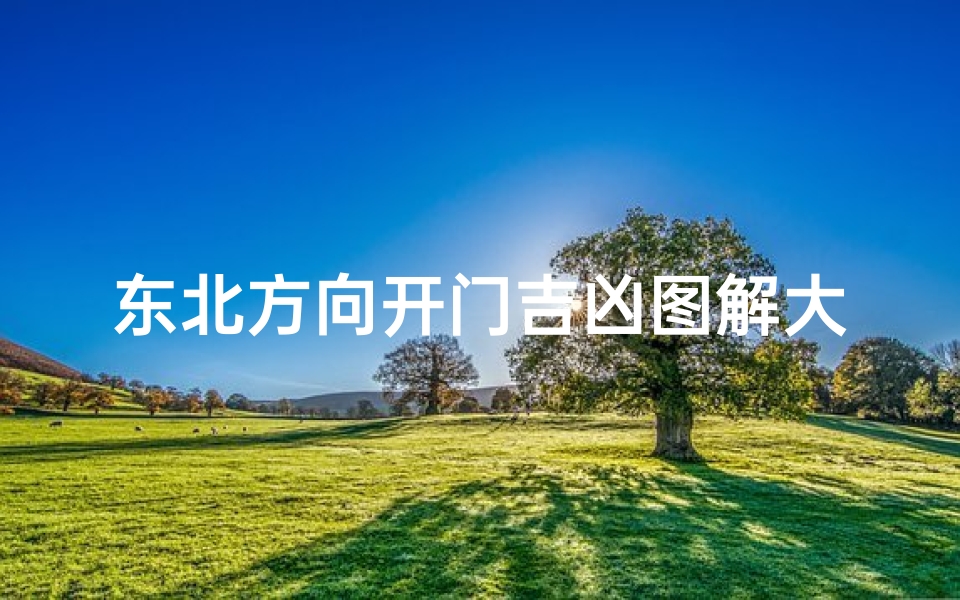东北方向开门吉凶图解大全揭秘