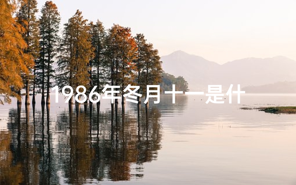 1986年冬月十一是什么命_86年冬月十二命格揭秘：命运轨迹大解析