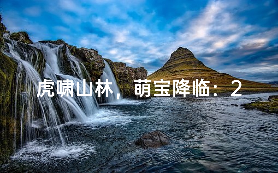 虎啸山林，萌宝降临：2岁虎宝宝男孩名字大揭秘