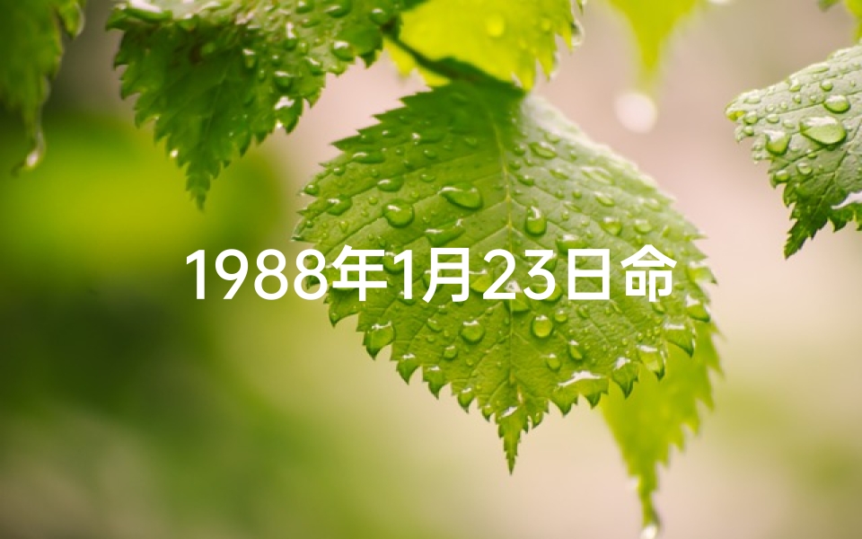 1988年1月23日命格、1988年1月23日五行