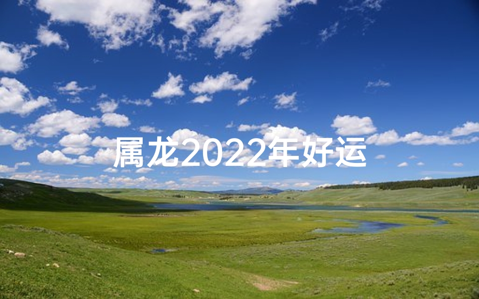 属龙2022年好运