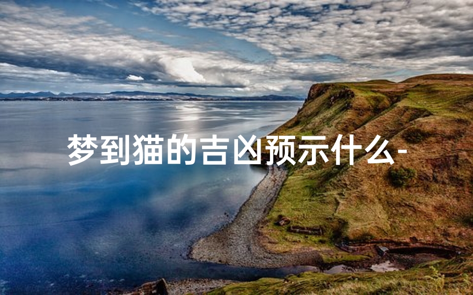 梦到猫的吉凶预示什么-梦到猫到底好不好