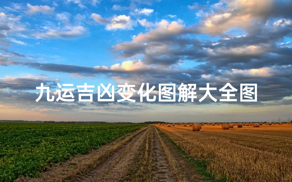 九运吉凶变化图解大全图片-九运的吉利方向