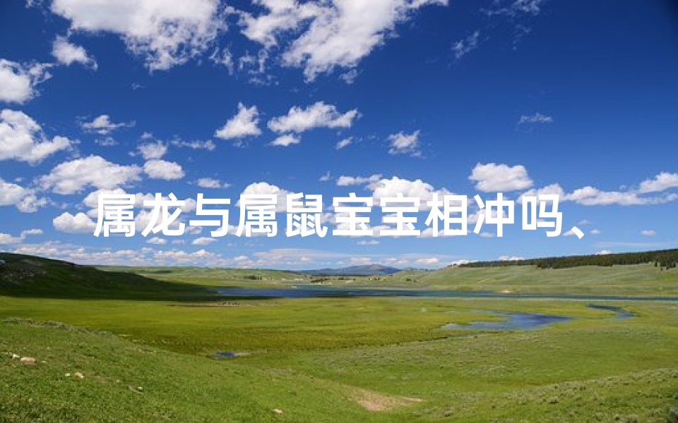 属龙与属鼠宝宝相冲吗、属龙和属鼠的孩子合不合